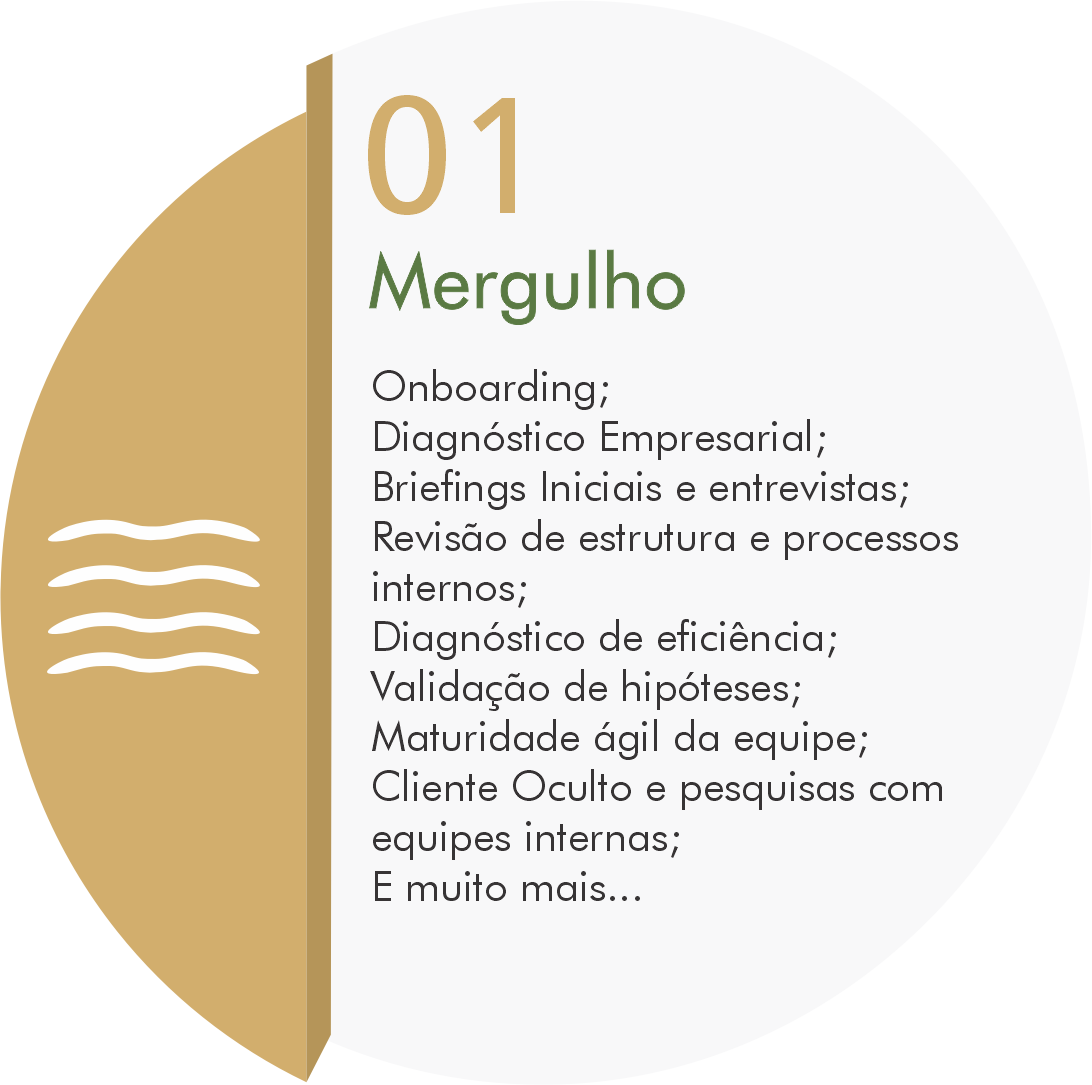 01 - Mergulho - Autoconhecimento e análise profunda da empresa e do projeto.