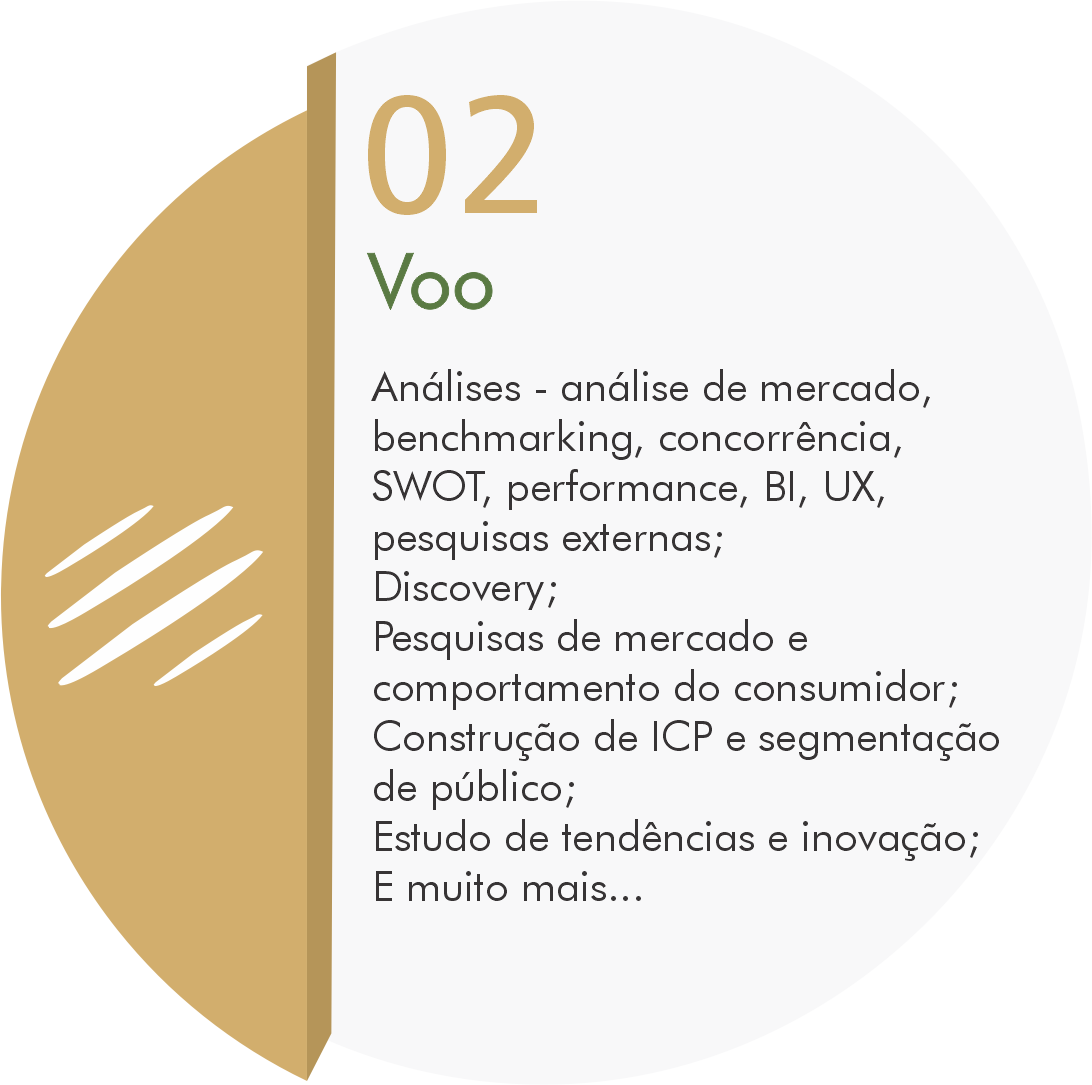 02 - Voo - Pesquisas e análises que vão ajudar a compreender o posicionamento da marca e o mercado.