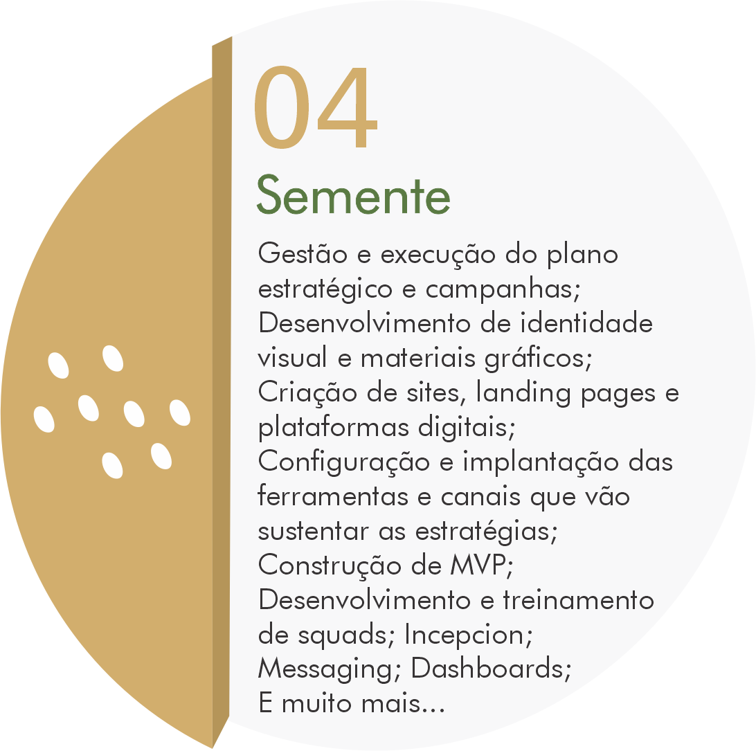 04 - Semente - Implantação das estratégias com solidez e eficiência direcionadas a métricas e resultados.
